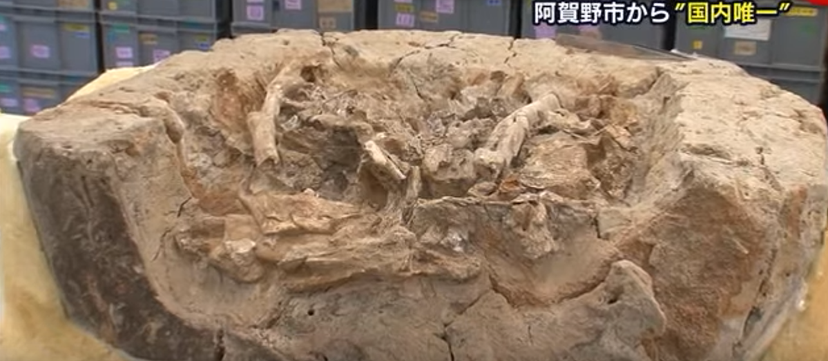 ユニコーンシステム